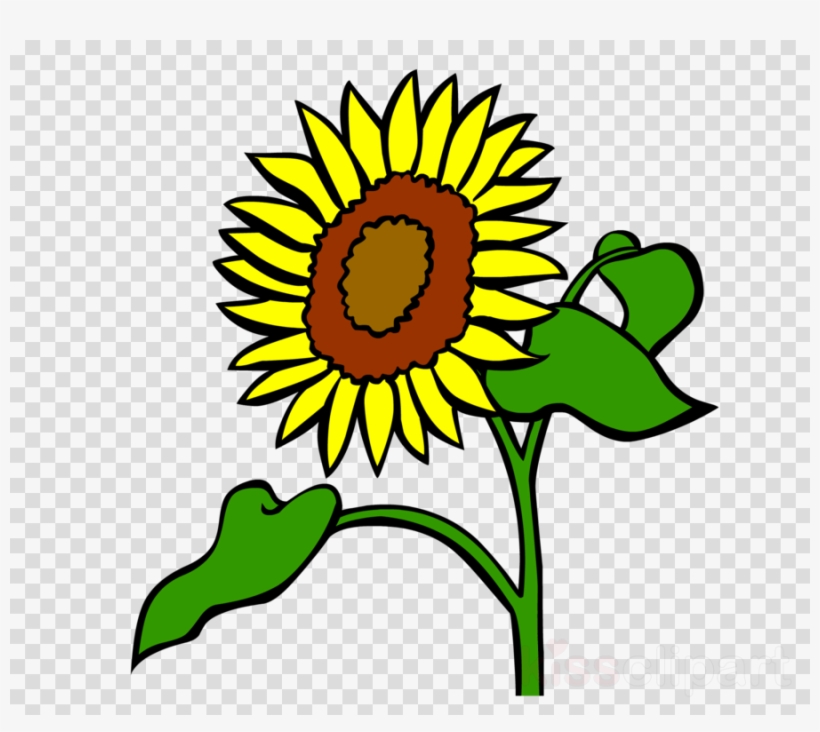 Detail Sunflower Clipart Nomer 5