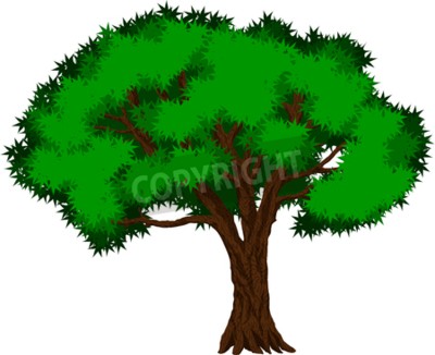 Detail Tropischer Baum Nomer 16