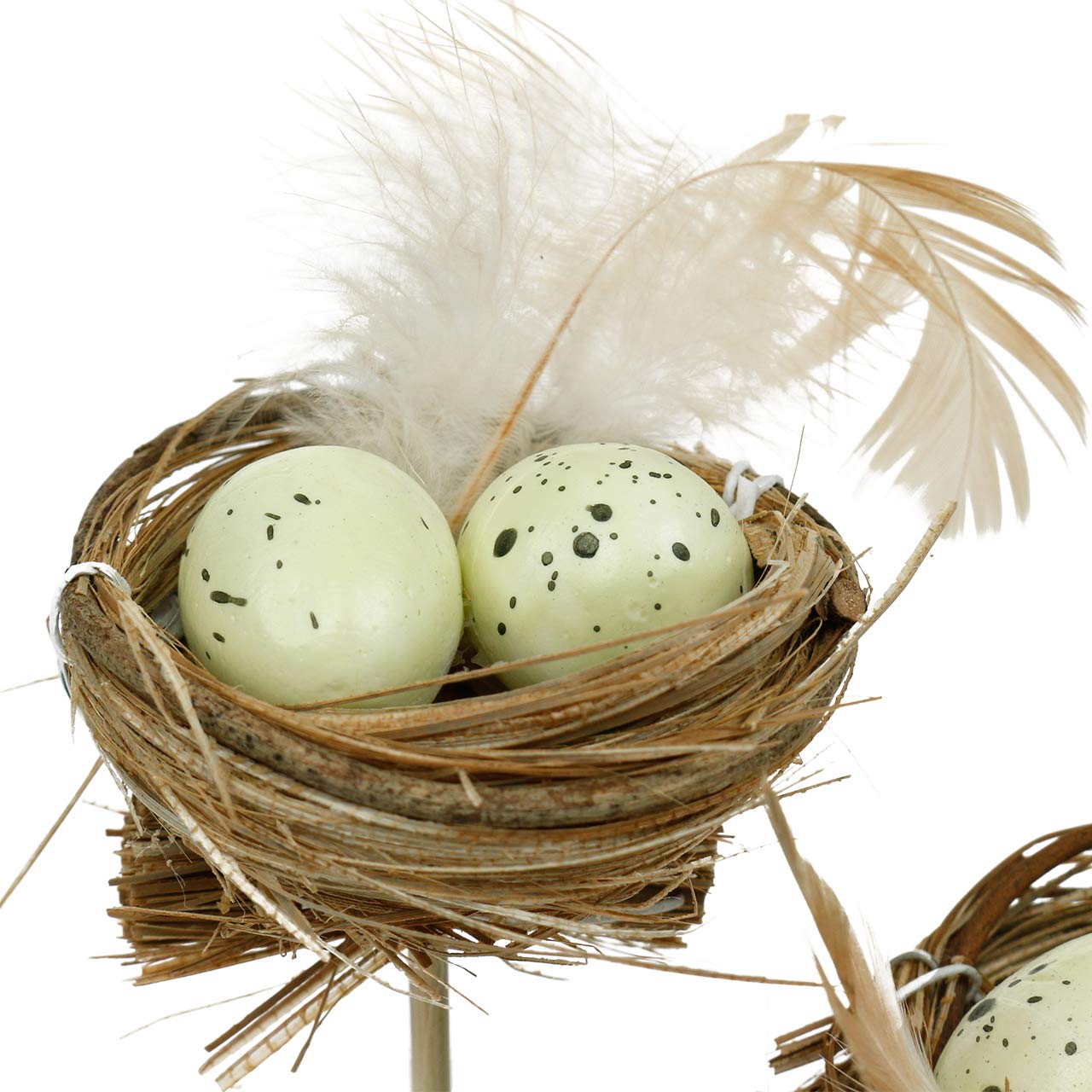 Vogelnest Mit Eiern - KibrisPDR
