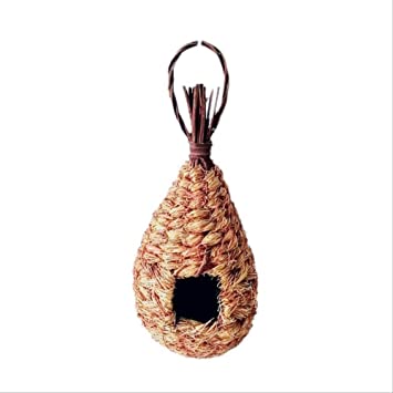 Detail Vogelnest Mit Eiern Nomer 11