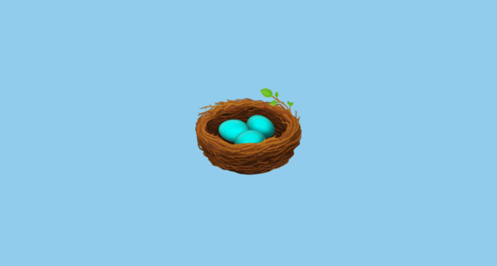 Detail Vogelnest Mit Eiern Nomer 15