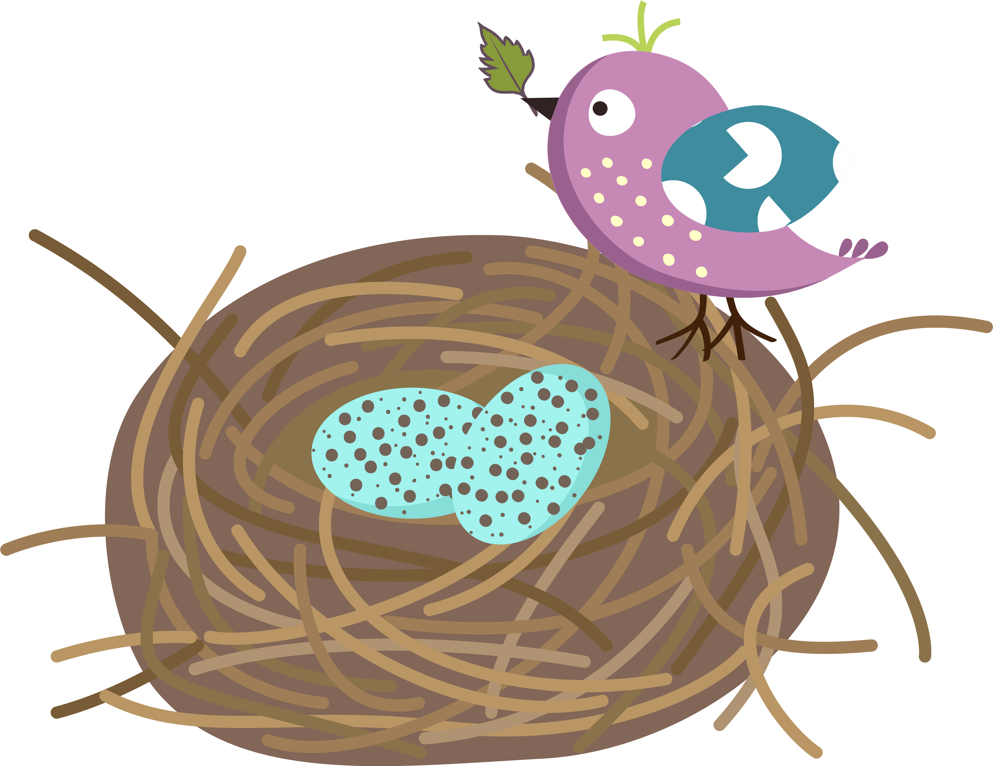Detail Vogelnest Mit Eiern Nomer 17