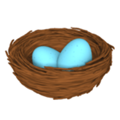 Detail Vogelnest Mit Eiern Nomer 18