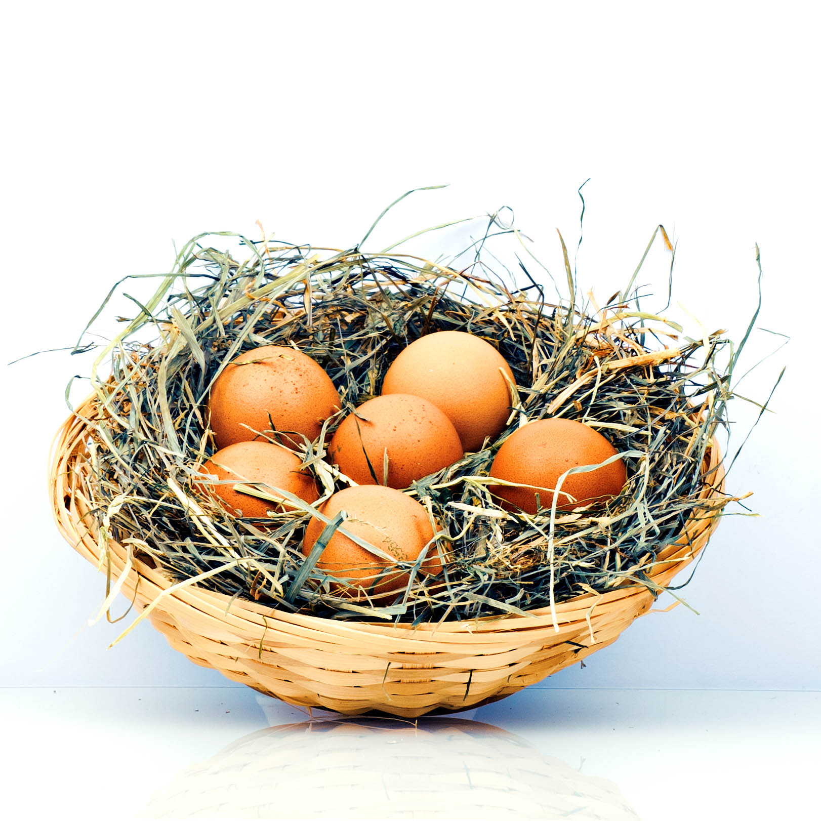 Detail Vogelnest Mit Eiern Nomer 22