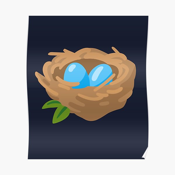 Detail Vogelnest Mit Eiern Nomer 3