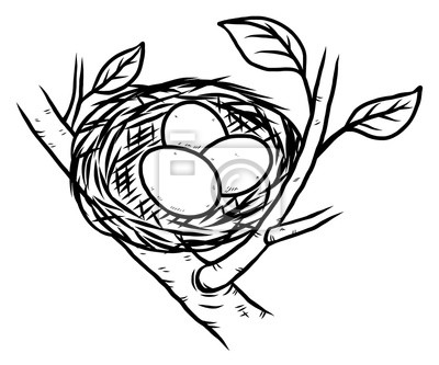 Detail Vogelnest Mit Eiern Nomer 6