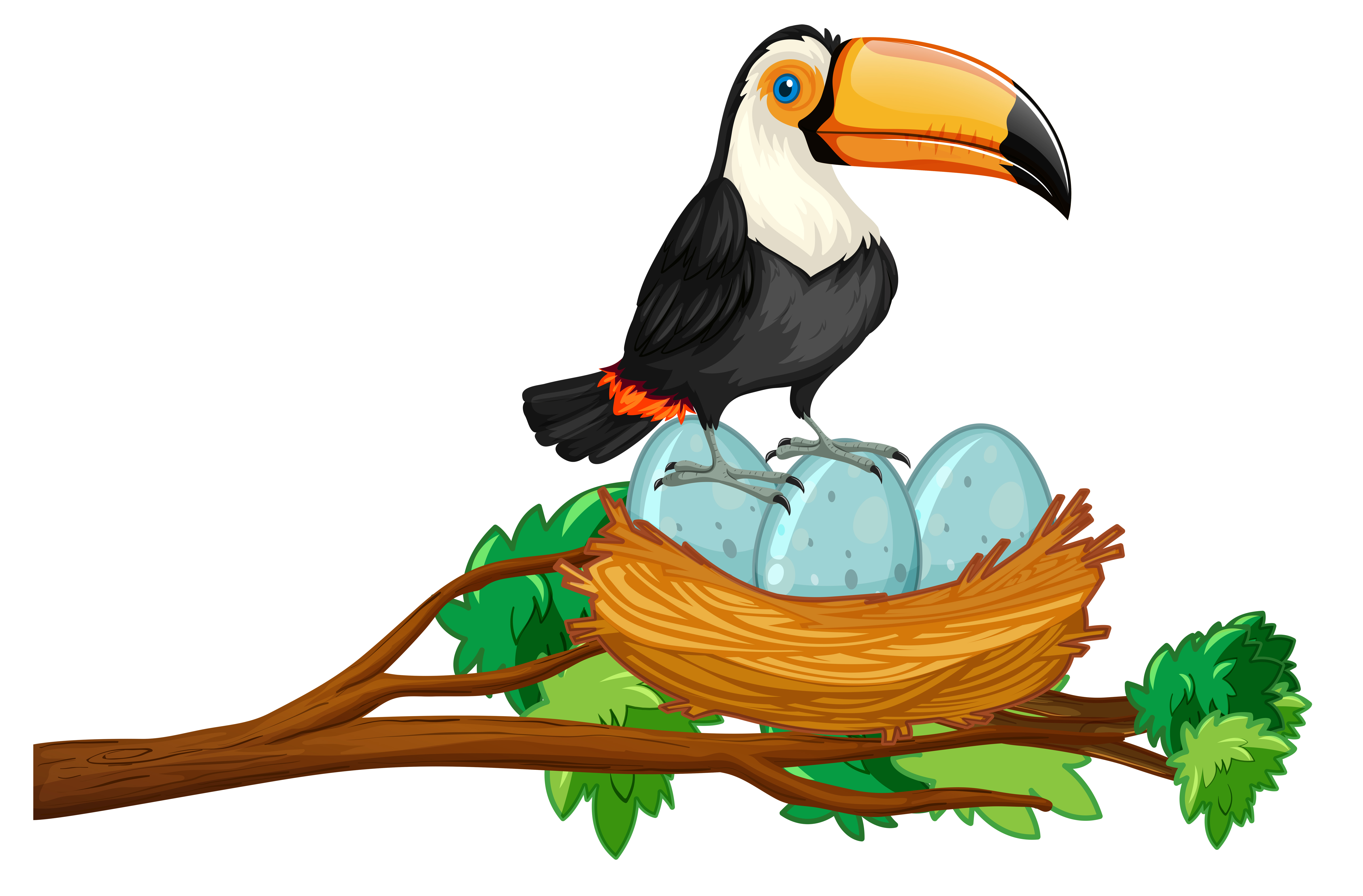 Detail Vogelnest Mit Eiern Nomer 8