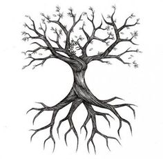 Detail Baum Mit Wurzeln Zeichnen Nomer 8