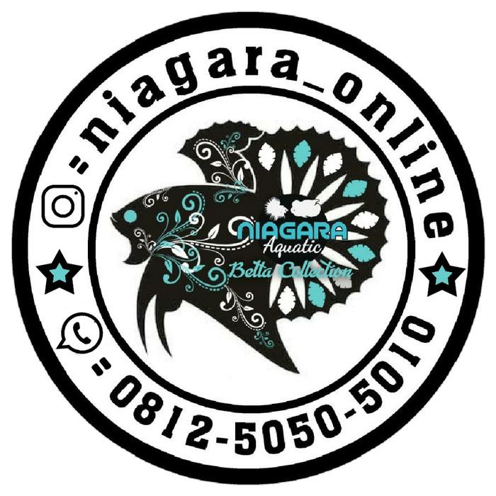 Download Free Download Logo Ikan Bakar Rawabango Cdr Nomer 2