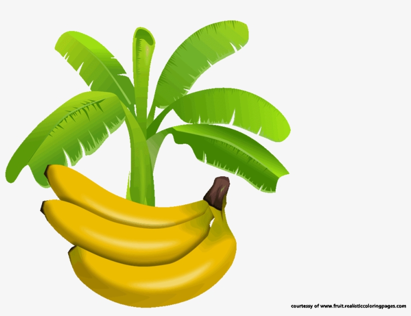 Download Free Download Logo Pisang Cartoon Nomer 44