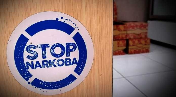 Detail Free Download Logo Stop Narkoba Nomer 28