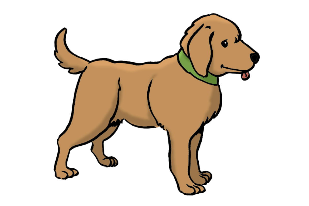 Detail Hunde Bilder Nomer 6