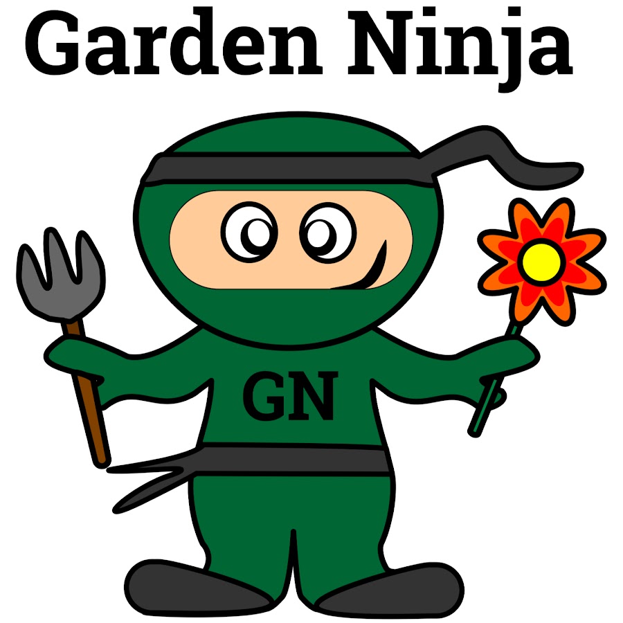 Detail Ninja Zeichnung Nomer 27