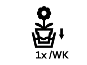 Symbole