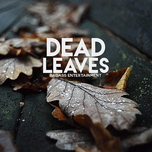 Detail Bts Dead Leaves Nomer 23