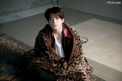 Detail Bts Love Yourself Tear Photo Concept Nomer 19