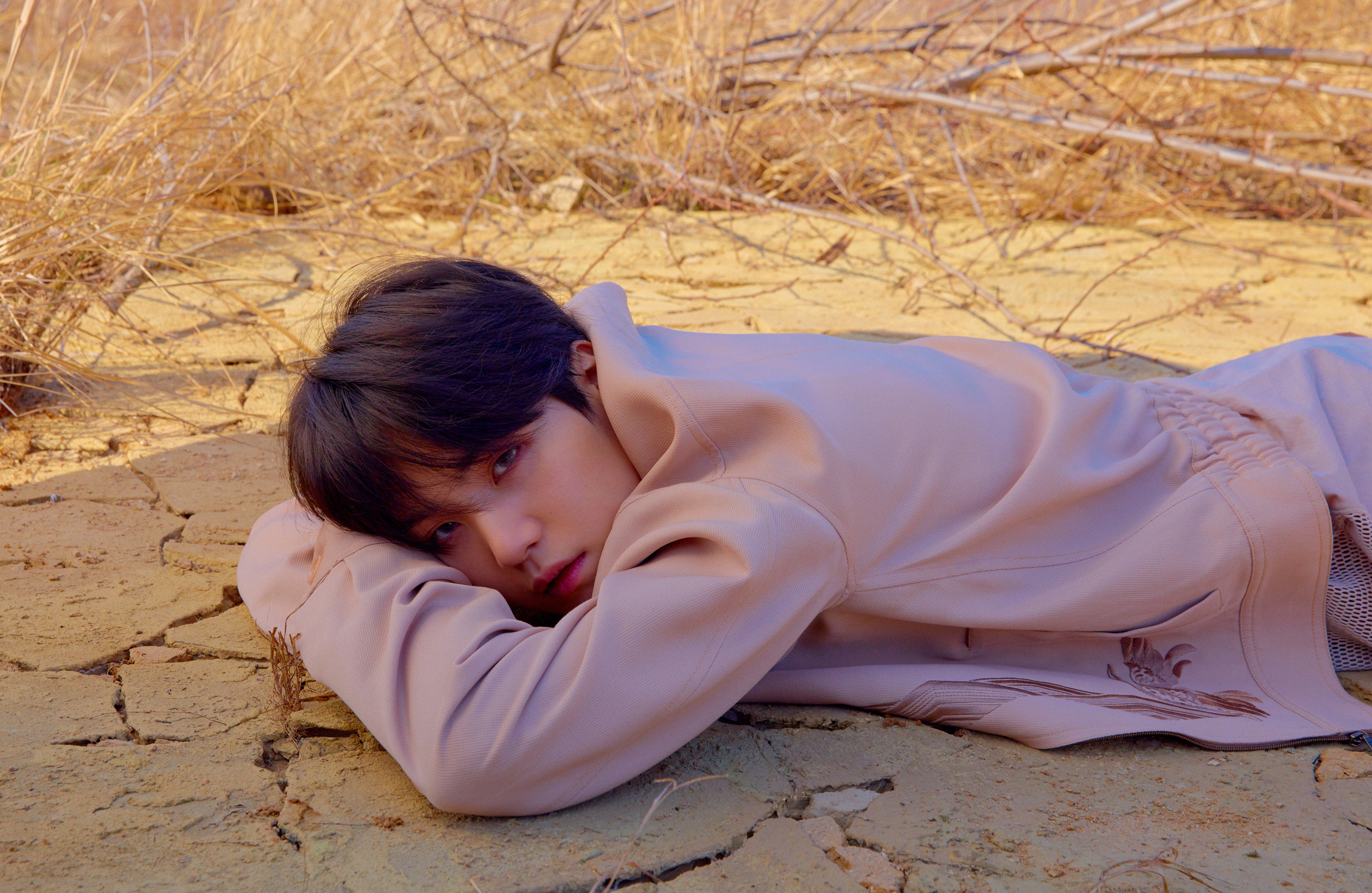 Detail Bts Love Yourself Tear Photo Concept Nomer 36