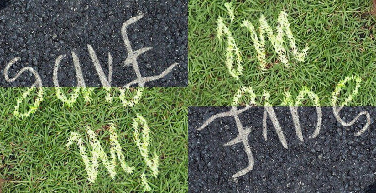 Detail Bts Save Me Im Fine Nomer 51