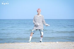 Detail Bts Spring Day Photoshoot Nomer 27