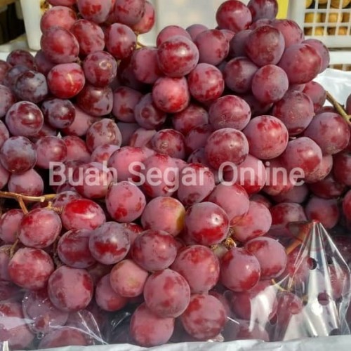 Detail Buah Anggur Merah Segar Nomer 33