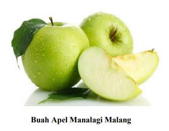 Detail Buah Apel Gambar Nomer 26