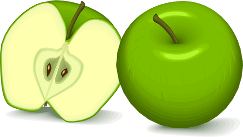 Detail Buah Apel Vector Nomer 33