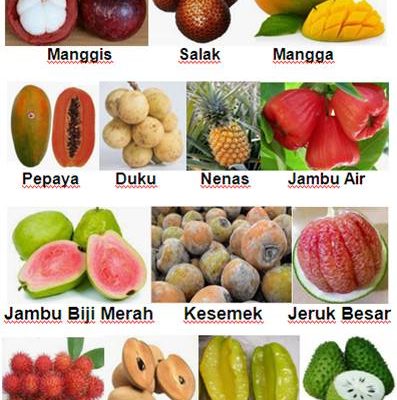 Detail Buah Berbiji Banyak Nomer 22