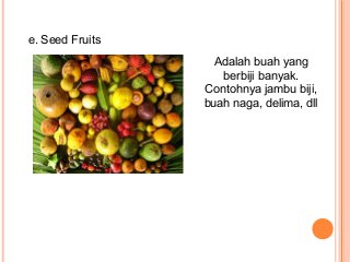 Detail Buah Berbiji Banyak Nomer 36