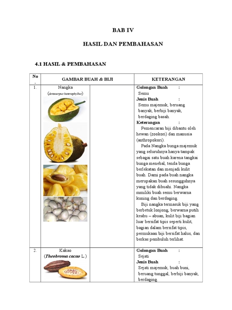 Detail Buah Berbiji Banyak Nomer 38