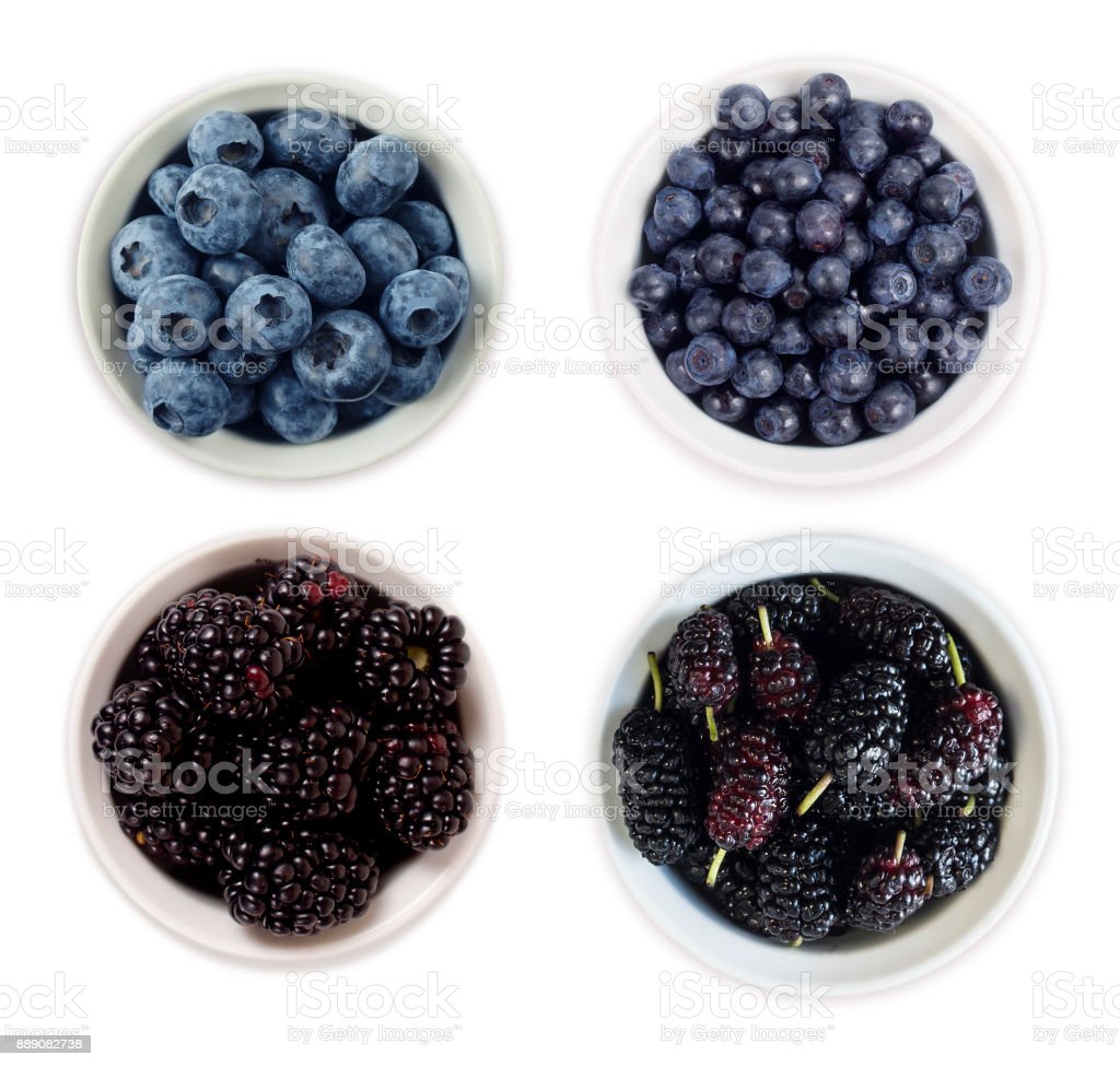 Detail Buah Blueberry Dan Blackberry Nomer 10