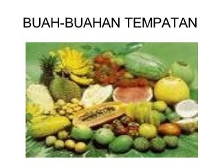 Detail Buah Buah Tempatan Gambar Satu Buah Nomer 43