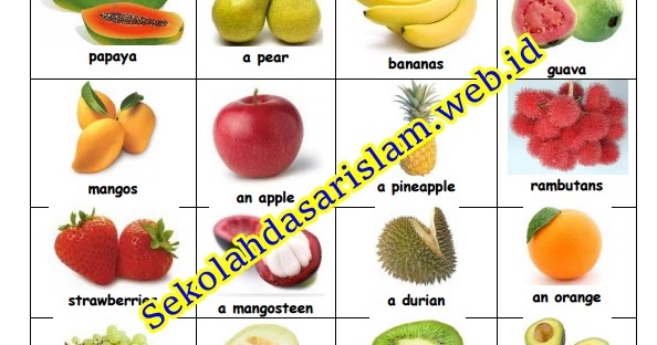 Detail Buah Buahan Dalam Bahasa Inggris Beserta Gambarnya Nomer 16