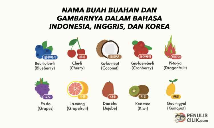 Detail Buah Buahan Dalam Bahasa Inggris Beserta Gambarnya Nomer 47