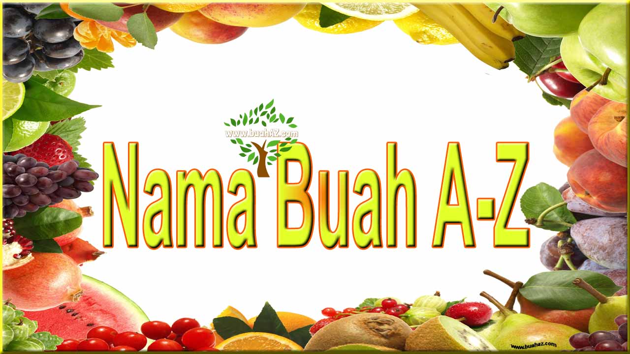 Detail Buah Buahan Dari Huruf A Nomer 4