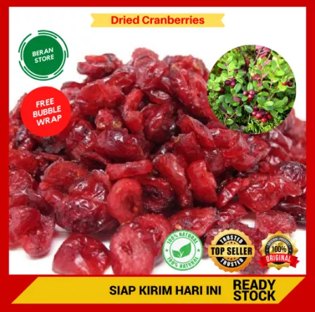 Detail Buah Cranberry Di Indonesia Nomer 35