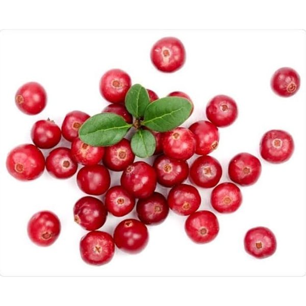 Detail Buah Cranberry Di Indonesia Nomer 42