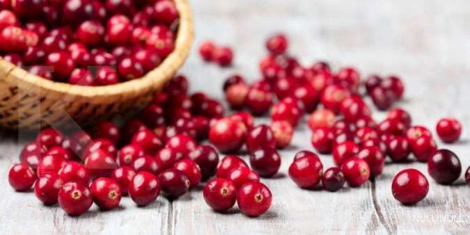 Detail Buah Cranberry Di Indonesia Nomer 44