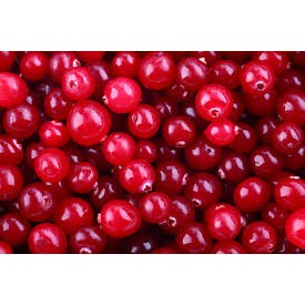 Detail Buah Cranberry Di Indonesia Nomer 10