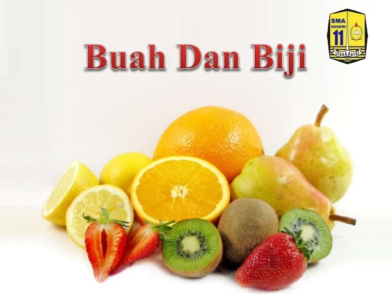 Detail Buah Dan Biji Nomer 2