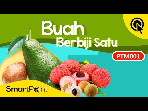 Detail Buah Dan Biji Nomer 35