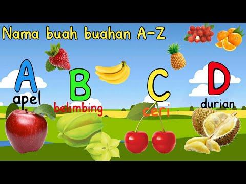 Detail Buah Dari A Sampai Z Nomer 51