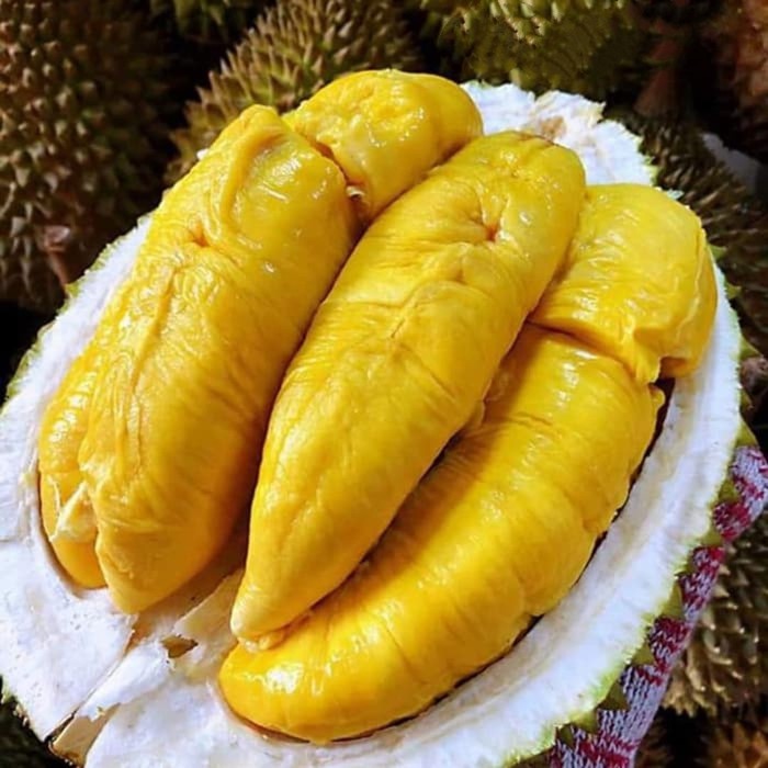 Detail Buah Durian Bawor Nomer 13