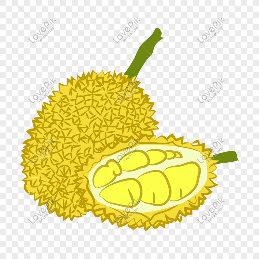 Detail Buah Durian Kartun Nomer 14