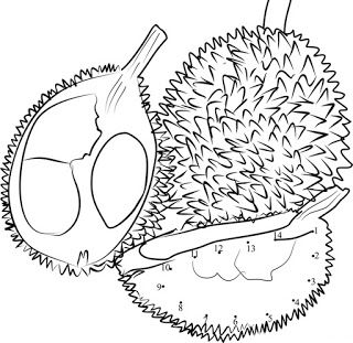 Detail Buah Durian Kartun Nomer 43
