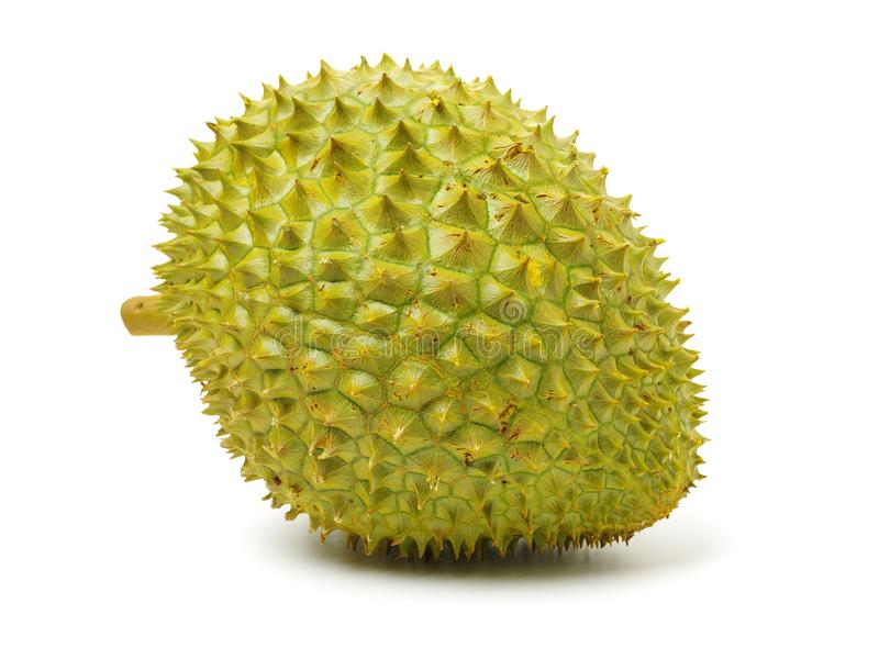 Detail Buah Durian Kartun Nomer 49