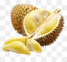 Buah Durian Png - KibrisPDR