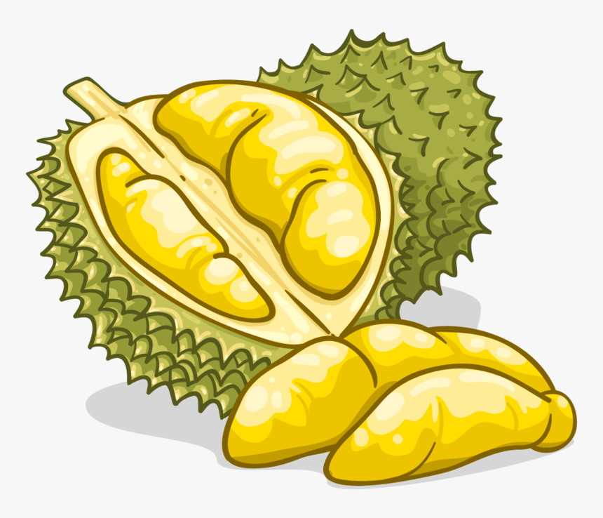 Detail Buah Durian Png Nomer 11