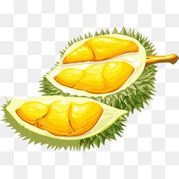 Detail Buah Durian Png Nomer 15