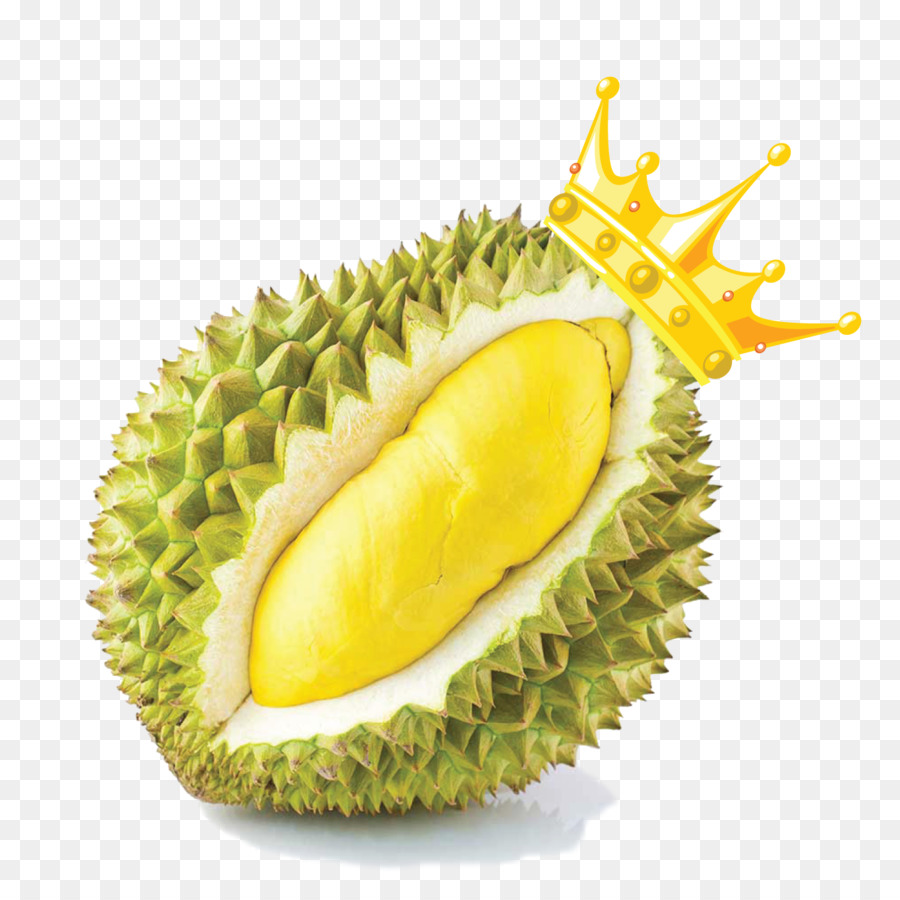 Detail Buah Durian Png Nomer 22