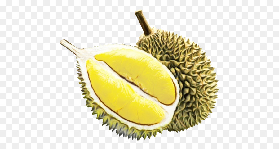 Detail Buah Durian Png Nomer 26